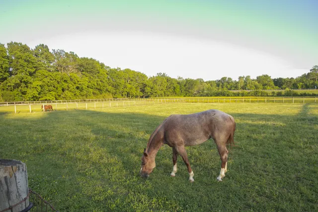 $11,000,000 | 6330 Cox Road, Arrington, TN 37014