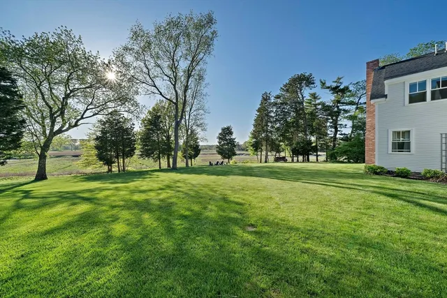 a huge green field with lots of trees