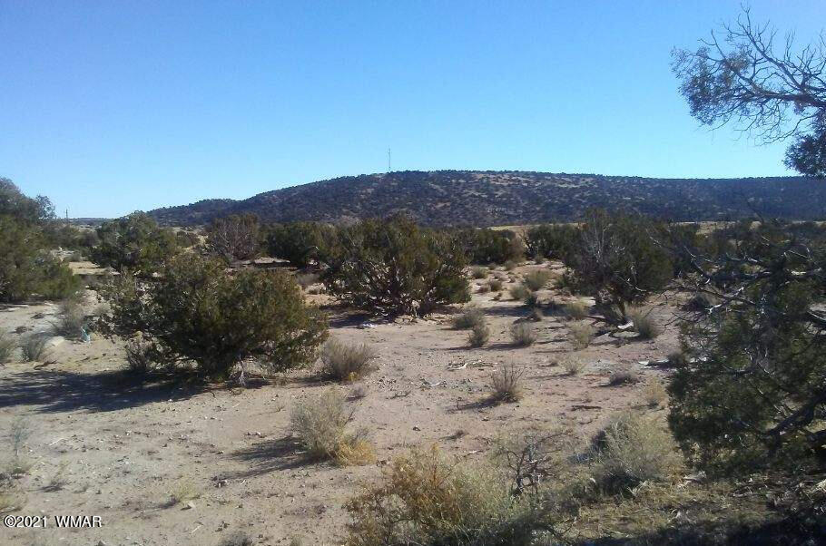 4596 El Dorado Road Snowflake, AZ 85937 - Photo 1 of 32 53239