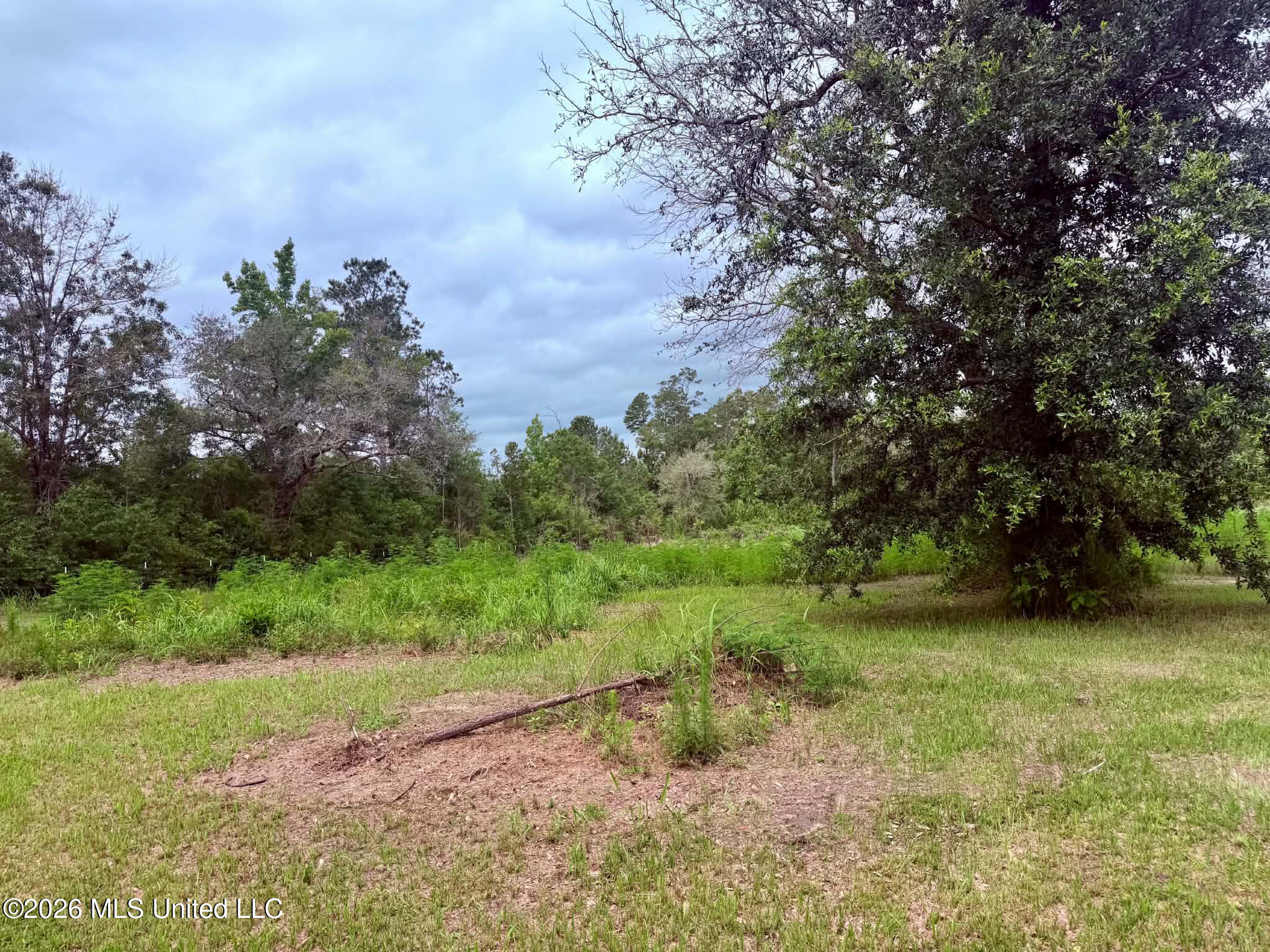 1882 McInnis Vernal Road Lucedale, MS 39452 - Photo 18 of 20 ab2c8f39-96c7-403c-9f4e-c5f83d5c6650