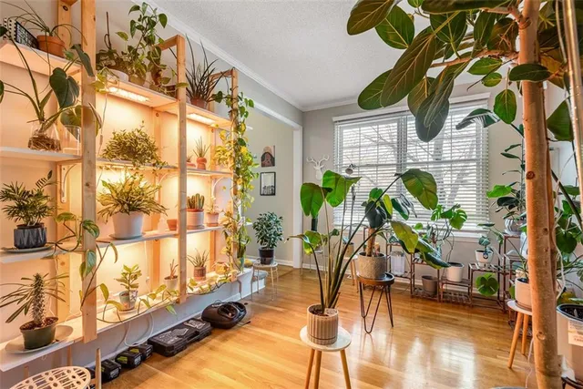 $495,000 | 14675 South Greenwood Street, Olathe, KS 66062