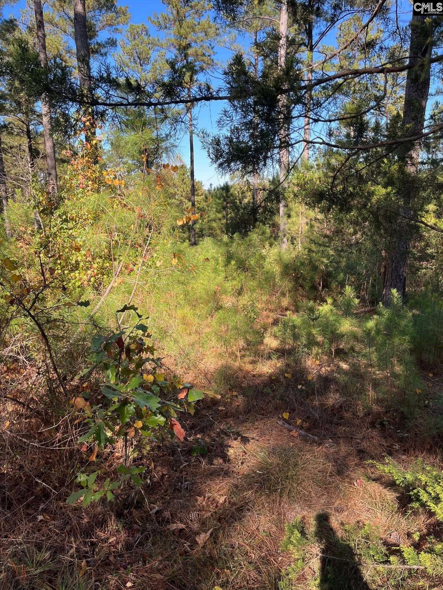 3 Dawkins Road, Unit DRF 3 Whitmire, SC 29178 - Photo 15 of 38