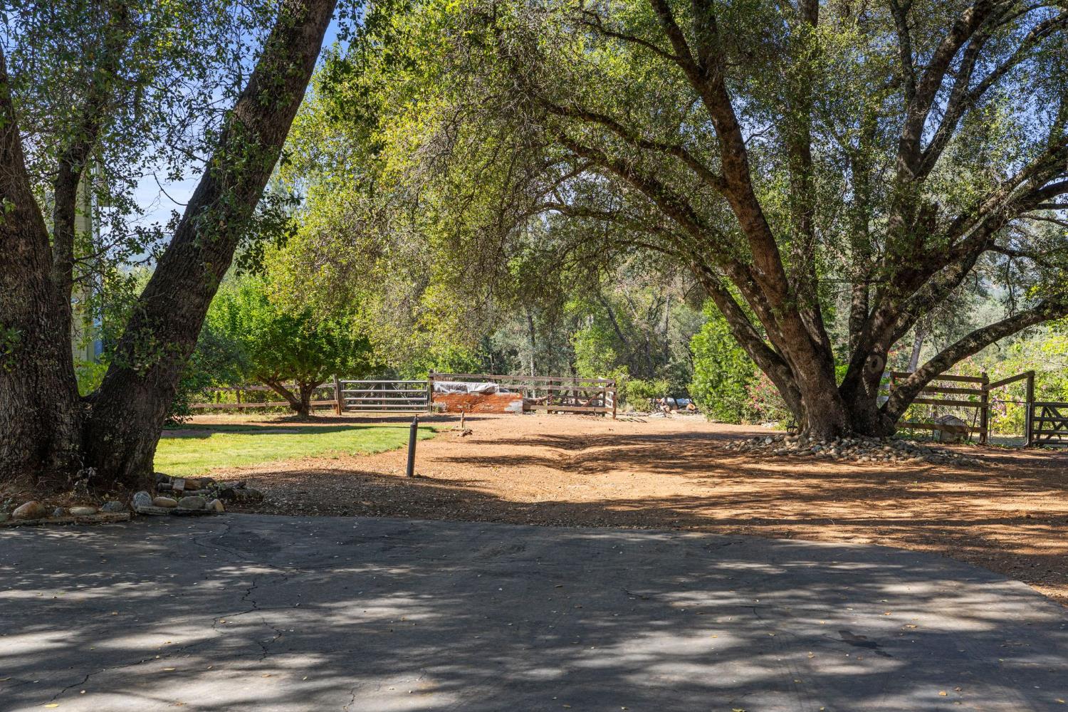 4620 Dry Creek Road Rescue, CA 95672 - Photo 77 of 77