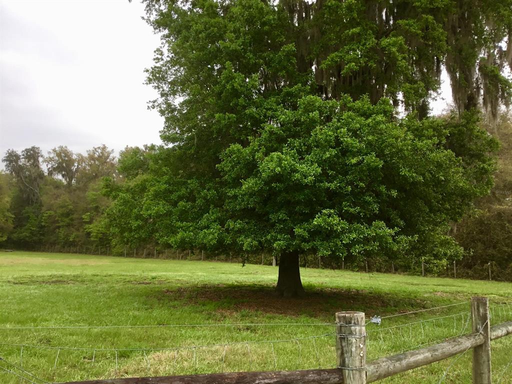 0 Northwest 215th Lane Road Micanopy, FL 32667 - Photo 1 of 1 A072B0C3-EB7A-4F07-88BC-FC2B75A5AED5