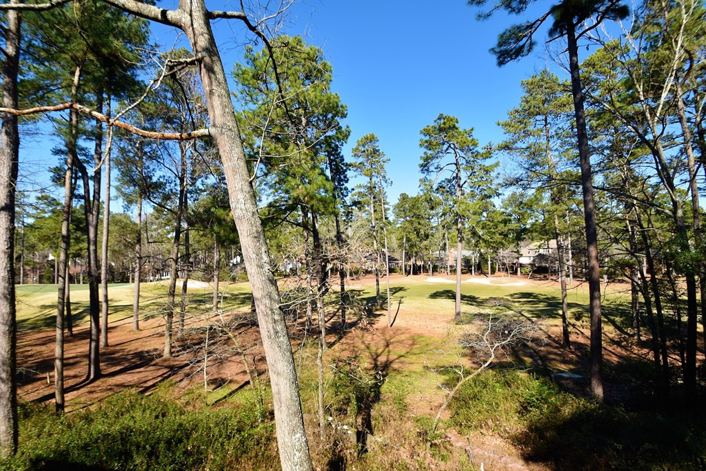 525 Holley Lake Road Aiken, SC 29803 - Photo 26 of 42