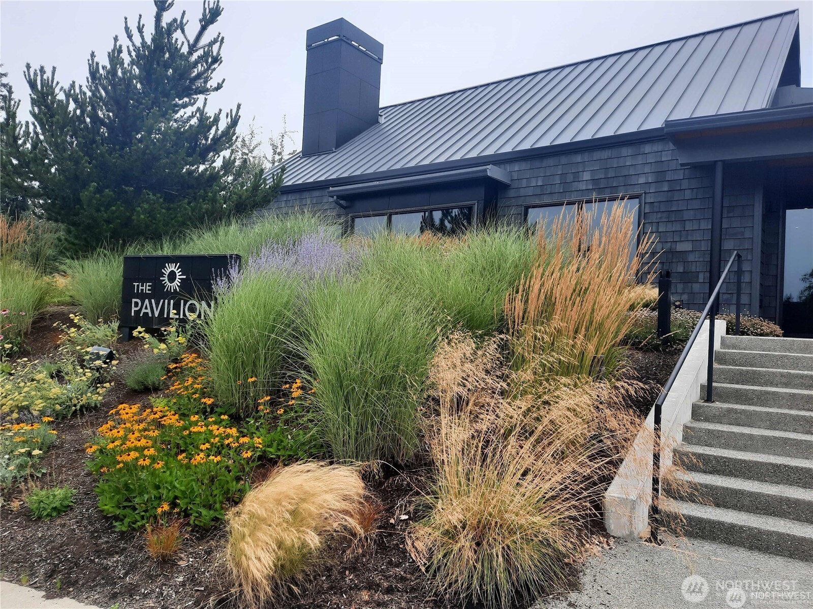 3311 Colville Street Southeast Lacey, WA 98513 - Photo 33 of 40 a view of a backyard with plants