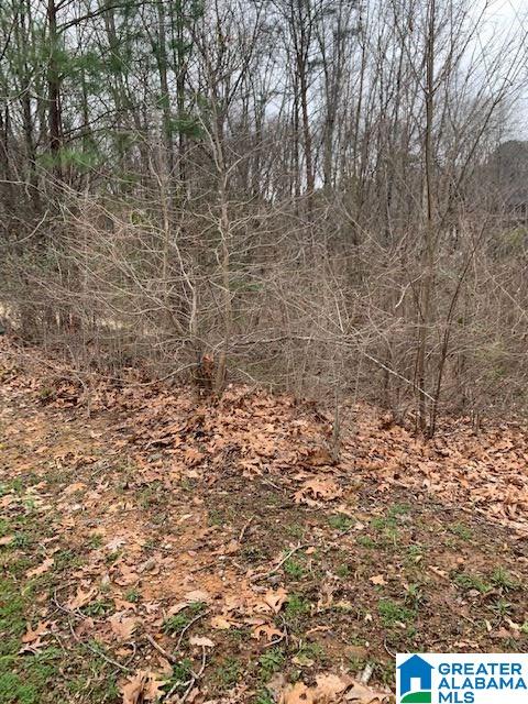 177 Space Road, Unit 31 Bessemer, AL 35023 - Photo 1 of 2