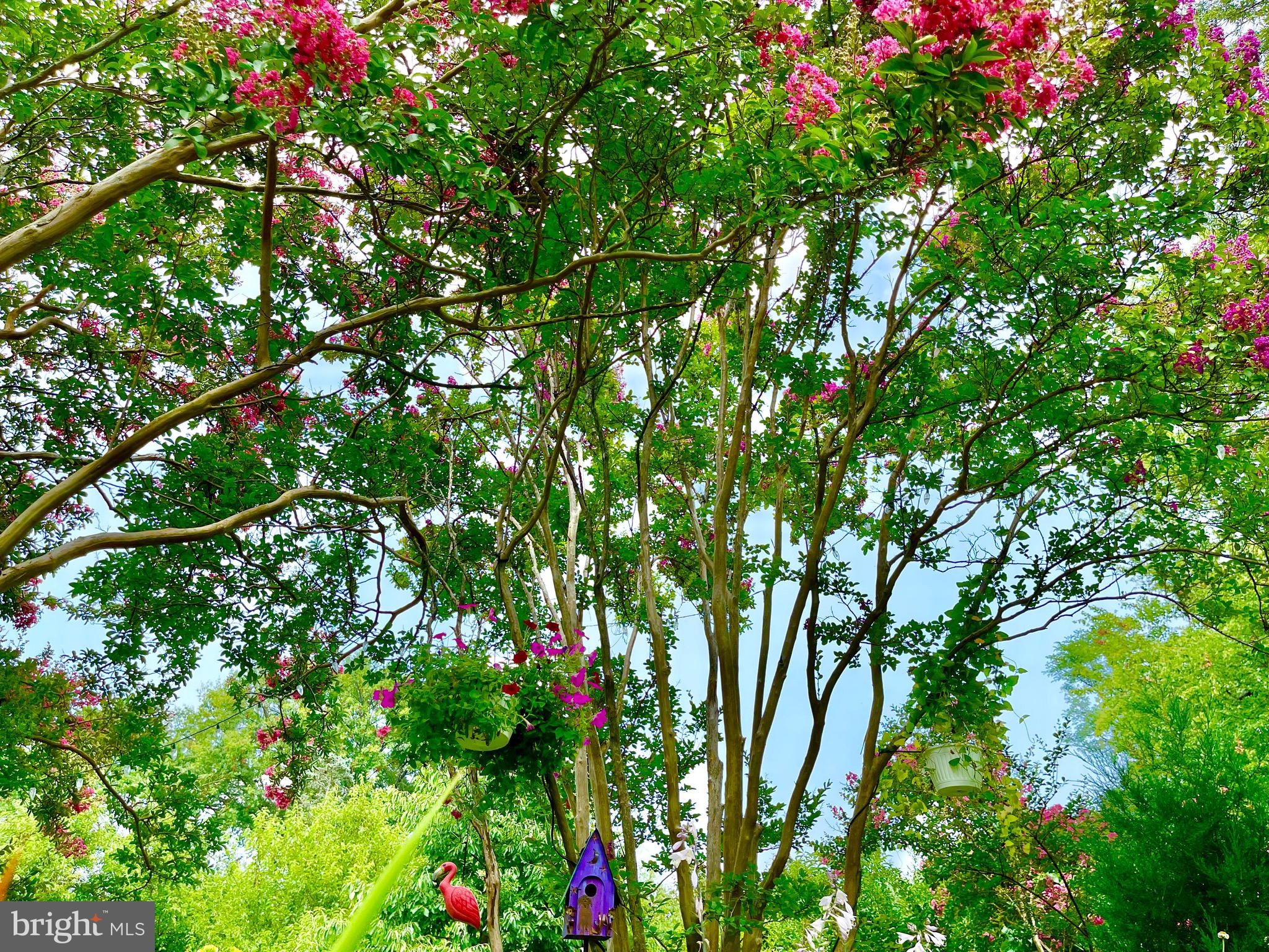 904 Elden Street Herndon, VA 20170 - Photo 52 of 76