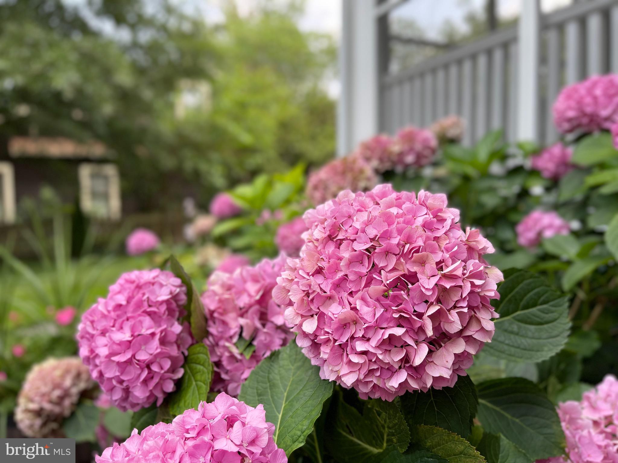 904 Elden Street Herndon, VA 20170 - Photo 53 of 76