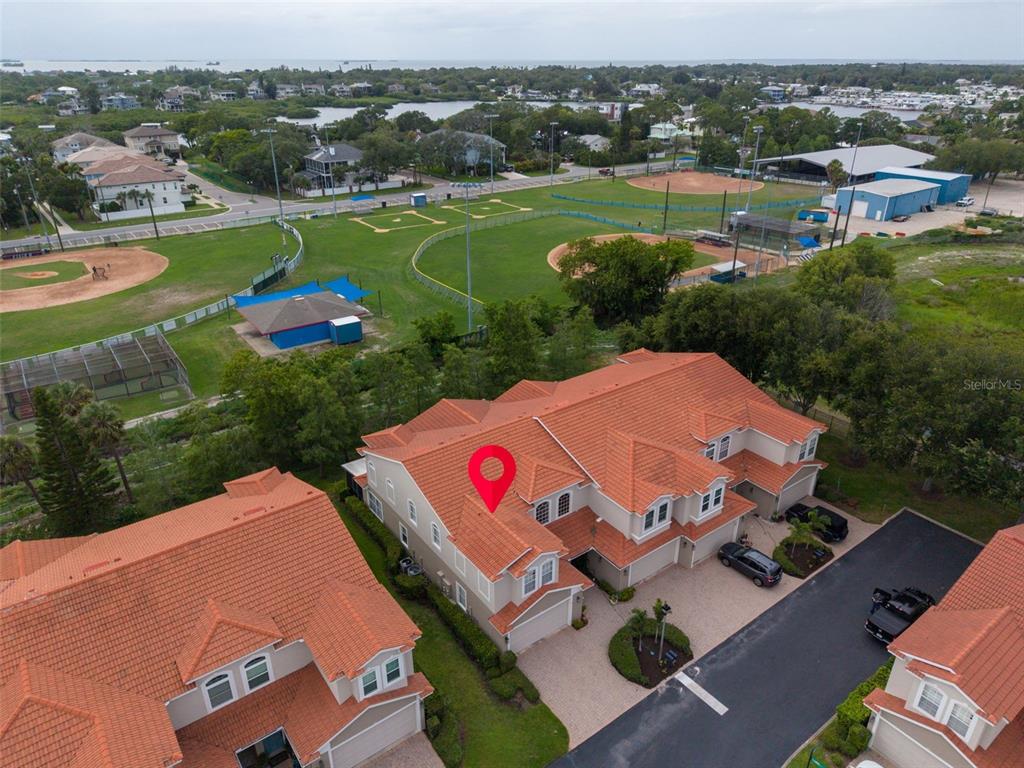1460 Ribolla Drive Palm Harbor, FL 34683 - Photo 45 of 47