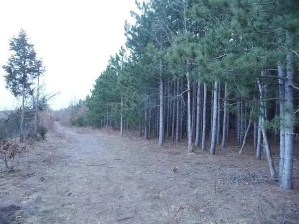 $185,900 | Lot 48 Grand View, Nekoosa, WI 54457