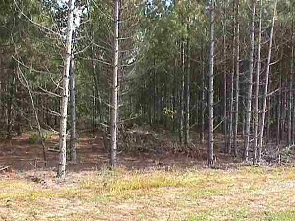 $185,900 | Lot 48 Grand View, Nekoosa, WI 54457