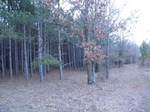 $185,900 | Lot 48 Grand View, Nekoosa, WI 54457