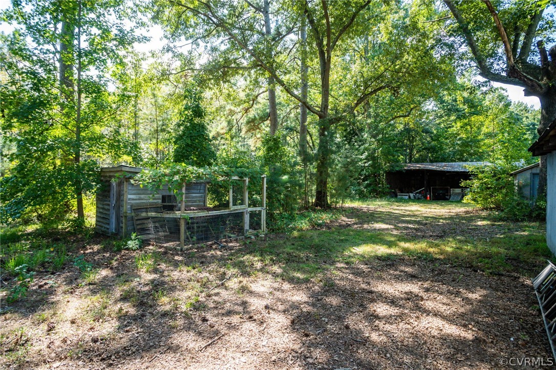 24715 Carson Road Dinwiddie, VA 23841 - Photo 47 of 47