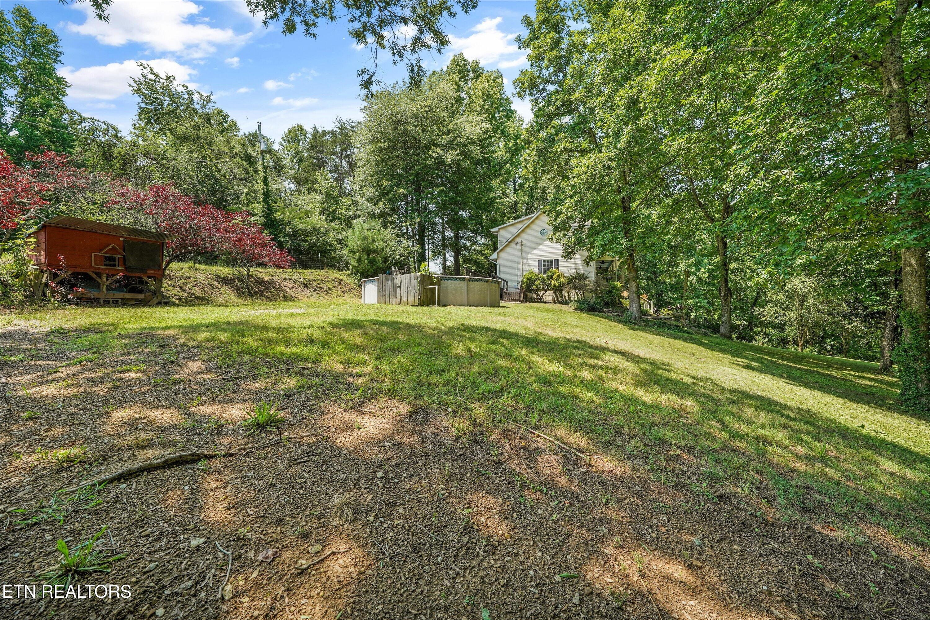 250 Ollis Road Oliver Springs, TN 37840 - Photo 40 of 47 Backyard