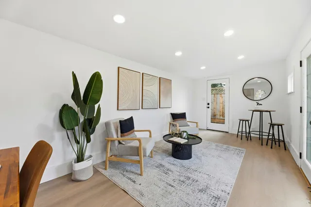 a living room with furniture a rug and a potted plant