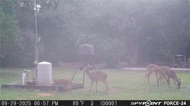 $325,000 | 75252 Tom Meyers Road, Covington, LA 70435