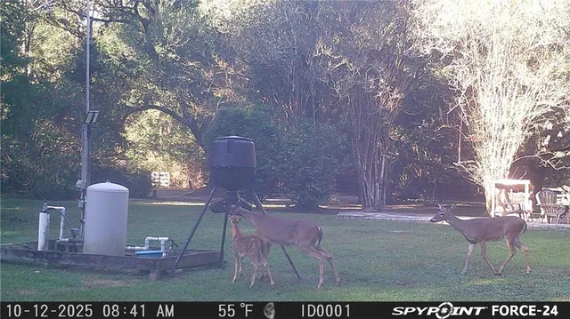 $325,000 | 75252 Tom Meyers Road, Covington, LA 70435