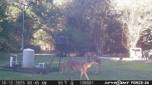 $325,000 | 75252 Tom Meyers Road, Covington, LA 70435