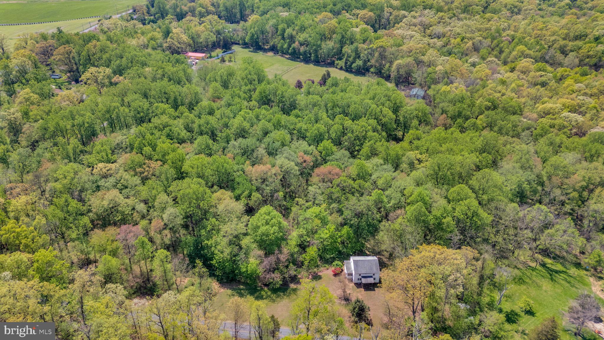 20730 Big Woods Road Dickerson, MD 20842 - Photo 2 of 5 a view of a forest with a houses
