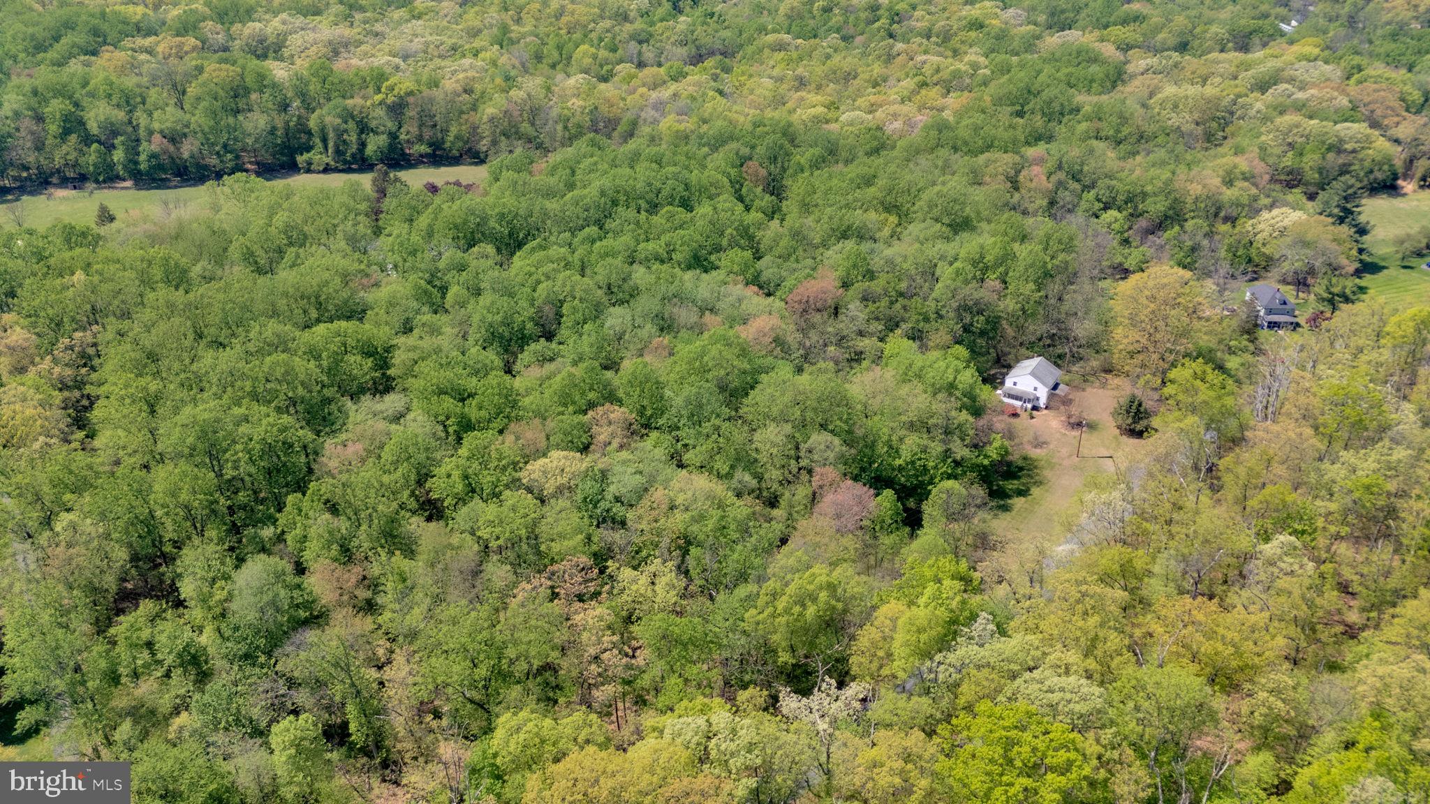 20730 Big Woods Road Dickerson, MD 20842 - Photo 5 of 5 a view of a lush green forest with large trees