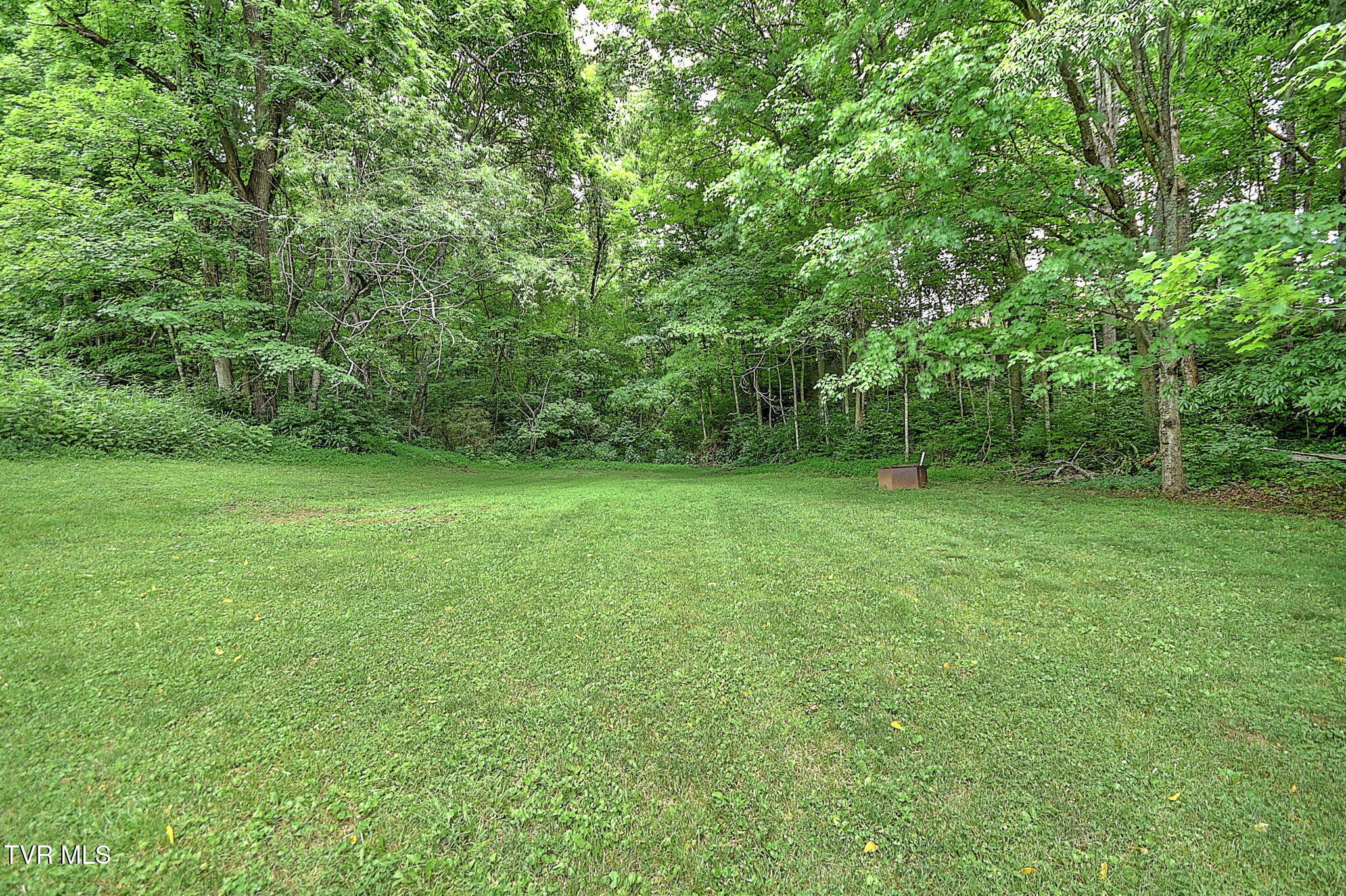 299 South Rufe Taylor Road Greeneville, TN 37745 - Photo 62 of 68 299 S Rufe Taylor Rd GL_-52