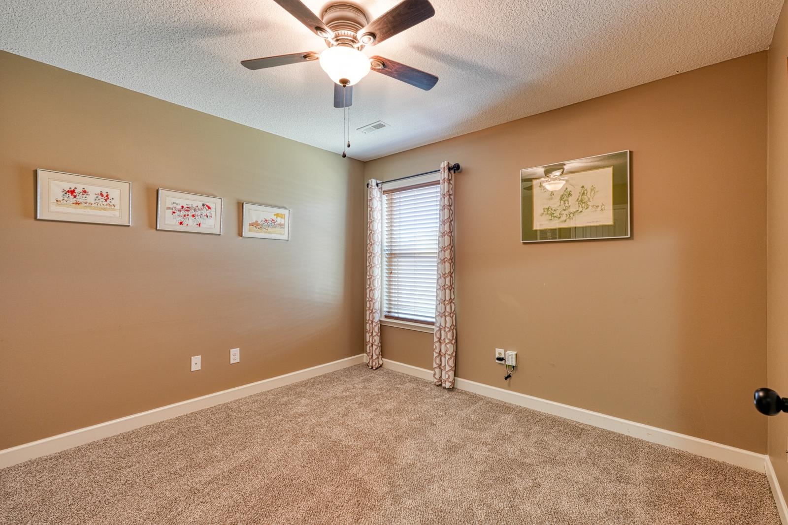 391 Aniken Circle Boiling Springs, SC 29316 - Photo 20 of 30