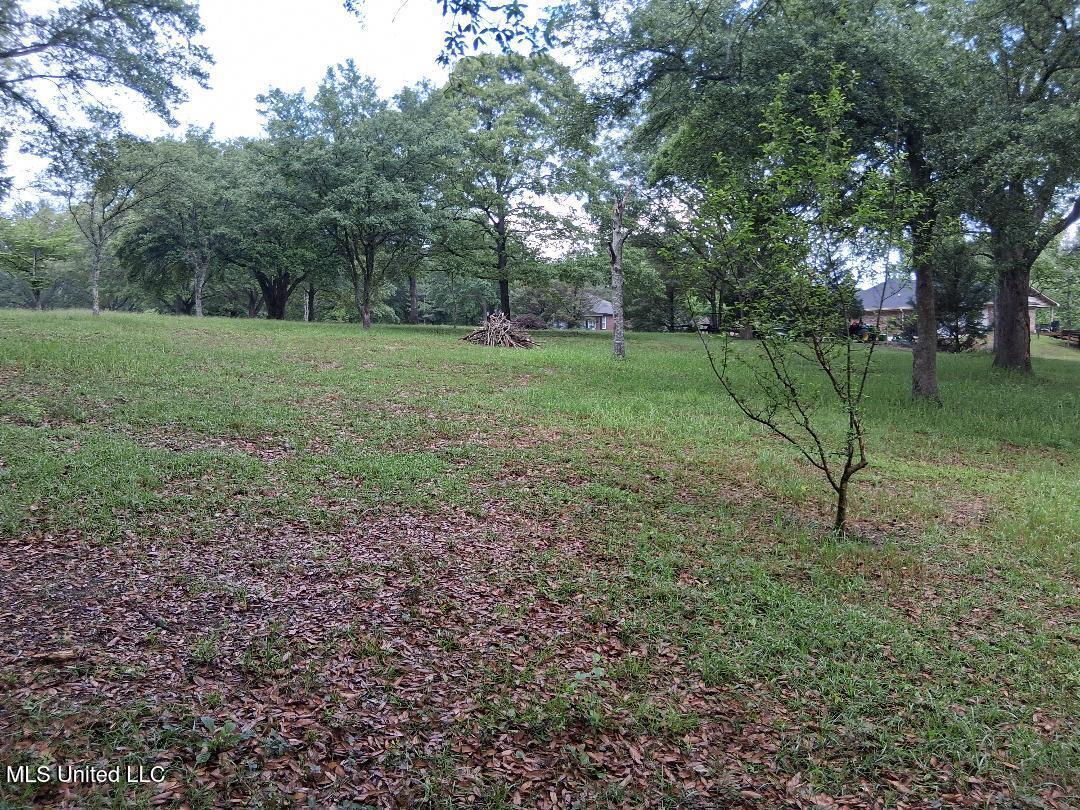 Redgate Road Lucedale, MS 39452 - Photo 13 of 19 13