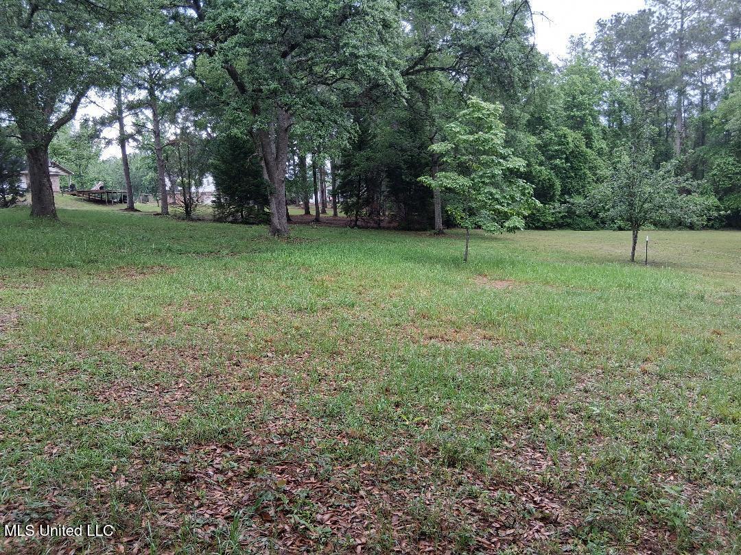 Redgate Road Lucedale, MS 39452 - Photo 14 of 19 14