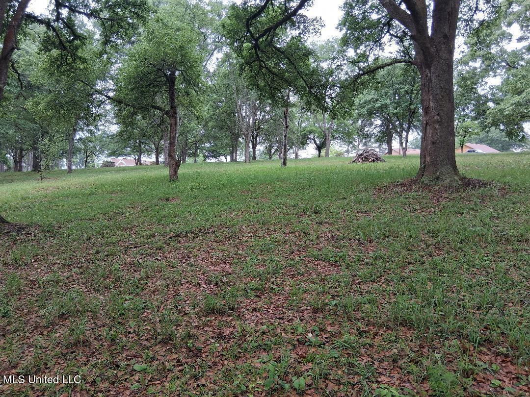 Redgate Road Lucedale, MS 39452 - Photo 16 of 19 16