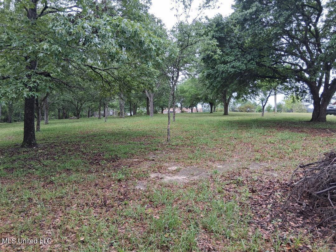 Redgate Road Lucedale, MS 39452 - Photo 18 of 19 18