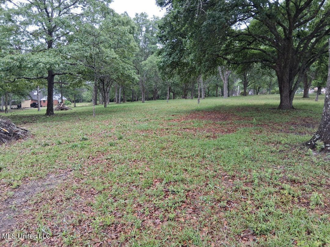 Redgate Road Lucedale, MS 39452 - Photo 19 of 19 19