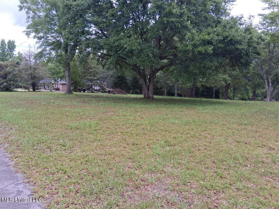 Redgate Road Lucedale, MS 39452 - Photo 5 of 19 5