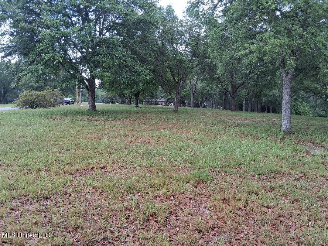 Redgate Road Lucedale, MS 39452 - Photo 9 of 19 9