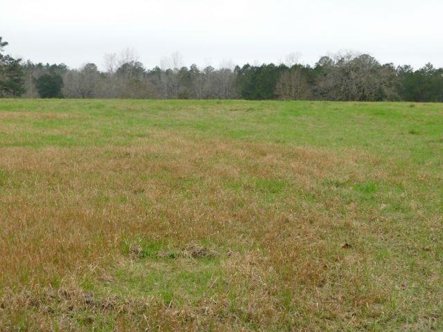 68000-a Scranage Road Atmore, AL 36502 - Photo 11 of 36