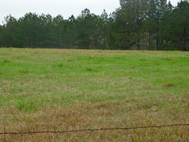 68000-a Scranage Road Atmore, AL 36502 - Photo 12 of 36