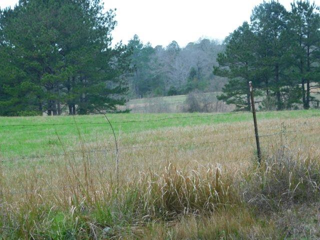 68000-a Scranage Road Atmore, AL 36502 - Photo 13 of 36