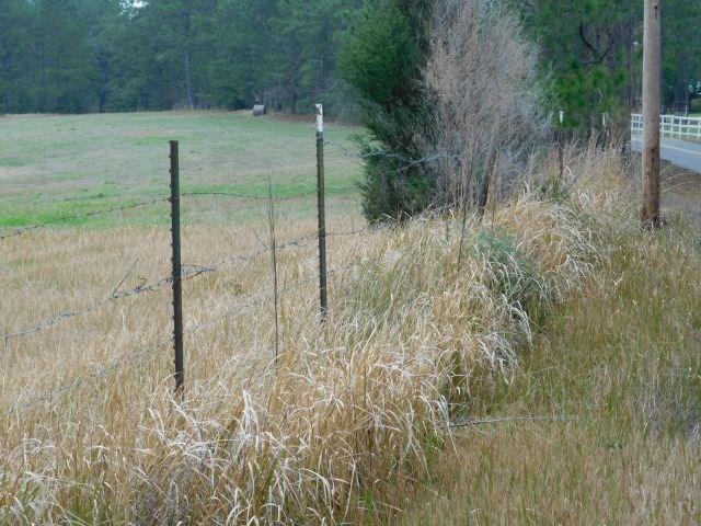 68000-a Scranage Road Atmore, AL 36502 - Photo 14 of 36