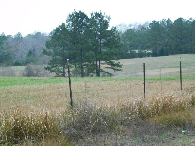 68000-a Scranage Road Atmore, AL 36502 - Photo 15 of 36