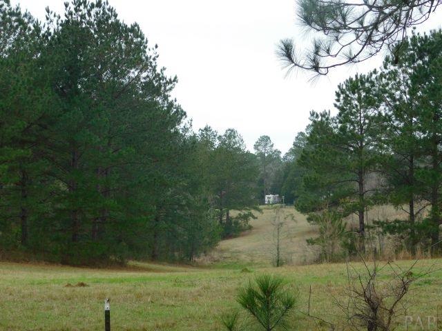 68000-a Scranage Road Atmore, AL 36502 - Photo 17 of 36