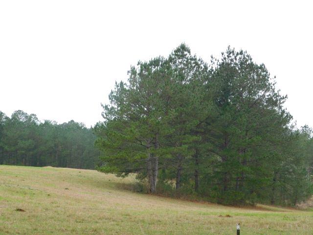 68000-a Scranage Road Atmore, AL 36502 - Photo 18 of 36