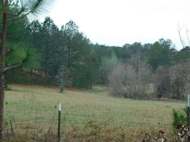 68000-a Scranage Road Atmore, AL 36502 - Photo 19 of 36
