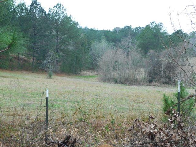 68000-a Scranage Road Atmore, AL 36502 - Photo 20 of 36