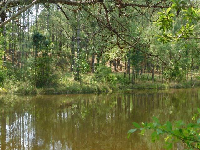 68000-a Scranage Road Atmore, AL 36502 - Photo 2 of 36