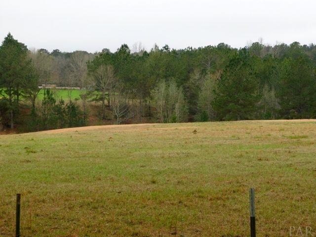 68000-a Scranage Road Atmore, AL 36502 - Photo 21 of 36