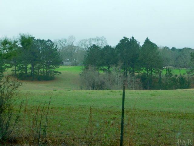 68000-a Scranage Road Atmore, AL 36502 - Photo 22 of 36