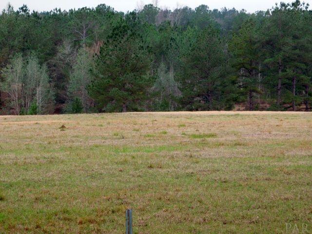 68000-a Scranage Road Atmore, AL 36502 - Photo 27 of 36