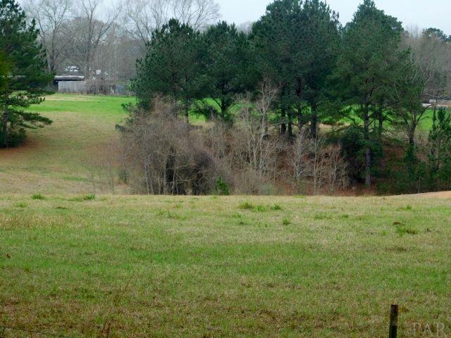 68000-a Scranage Road Atmore, AL 36502 - Photo 29 of 36