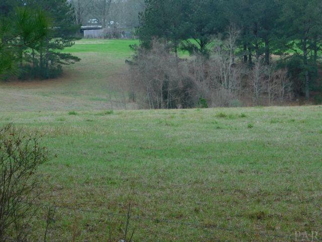 68000-a Scranage Road Atmore, AL 36502 - Photo 30 of 36