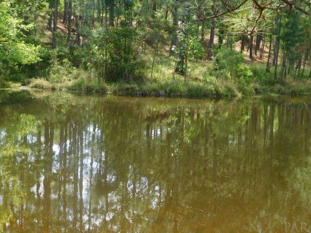 68000-a Scranage Road Atmore, AL 36502 - Photo 3 of 36